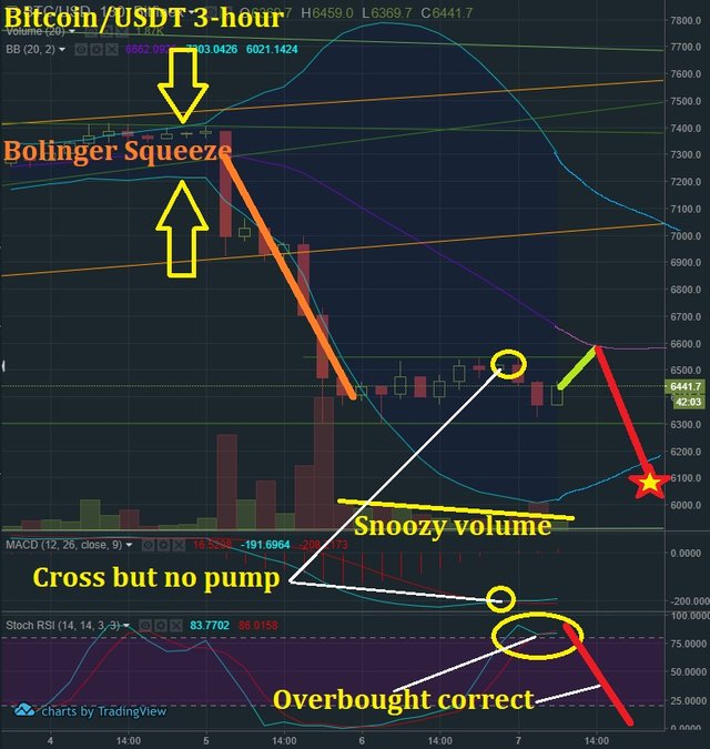 Sept 7 BTC T&A.jpg