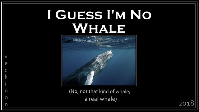 whale cover1.jpg
