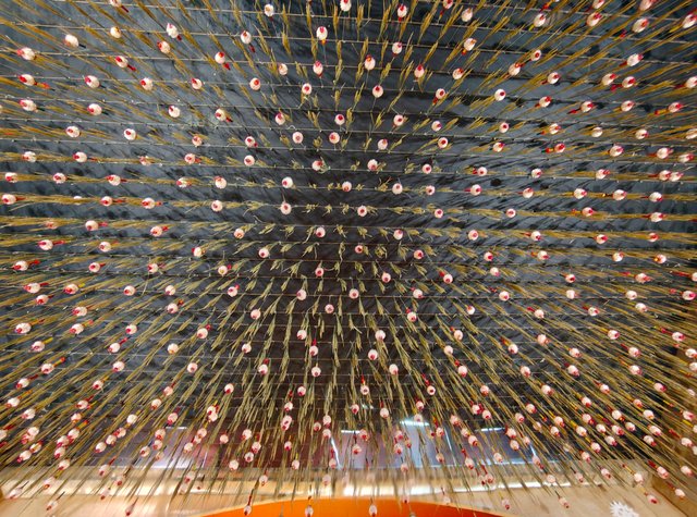 IMG_20251001_015525518_HDR.jpg