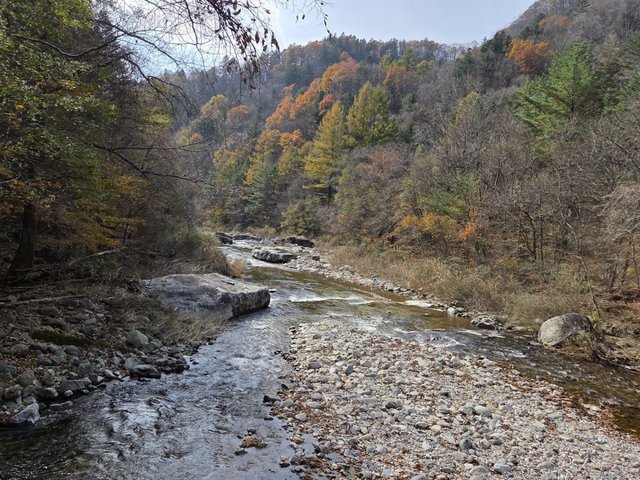 카카오스토리_2025_11_01 23_50_52.jpg