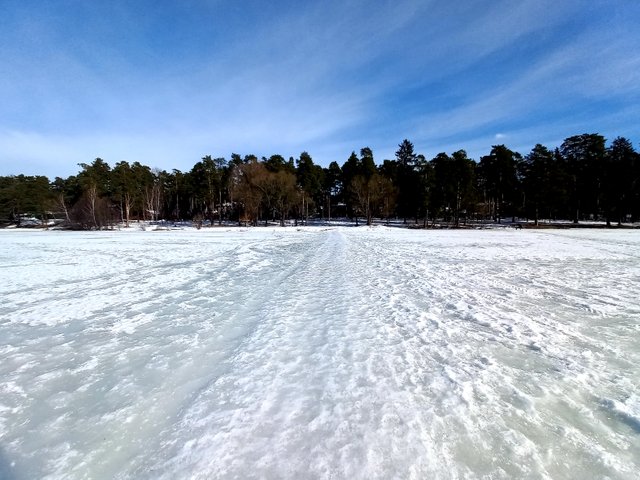 20220306_114407.jpg