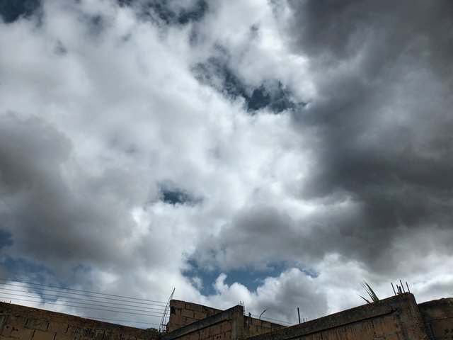 20250219_092918.jpg