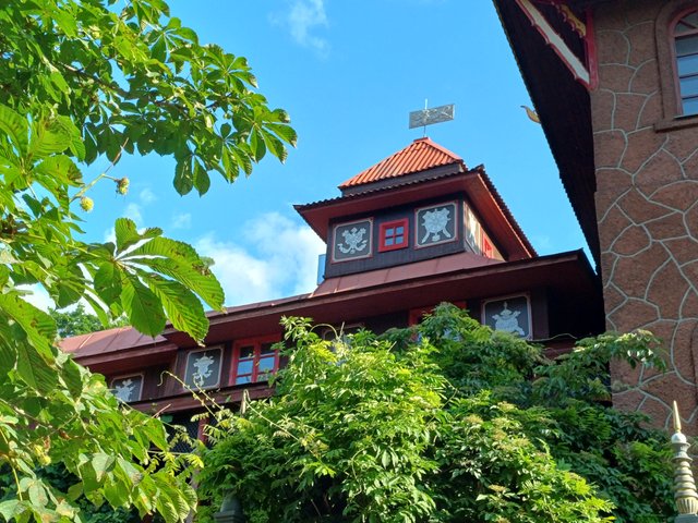 20250622_074003.jpg