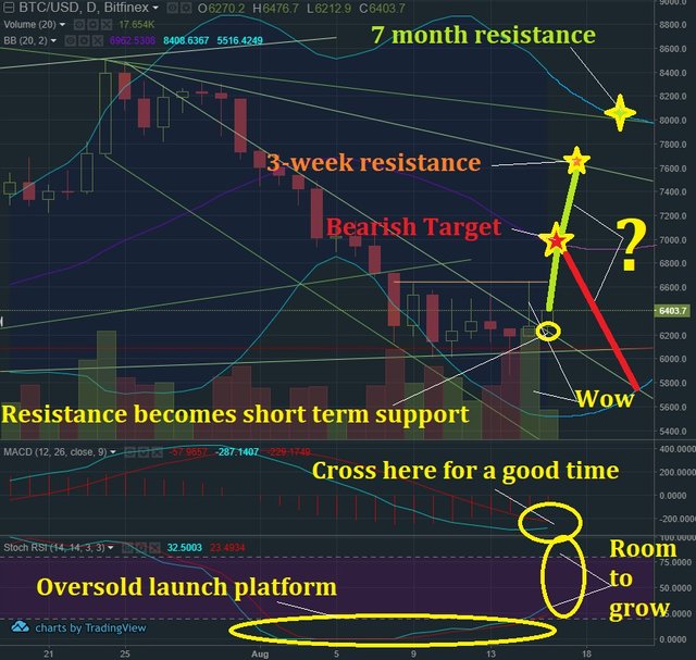 Aug 16 BTC T&A.jpg