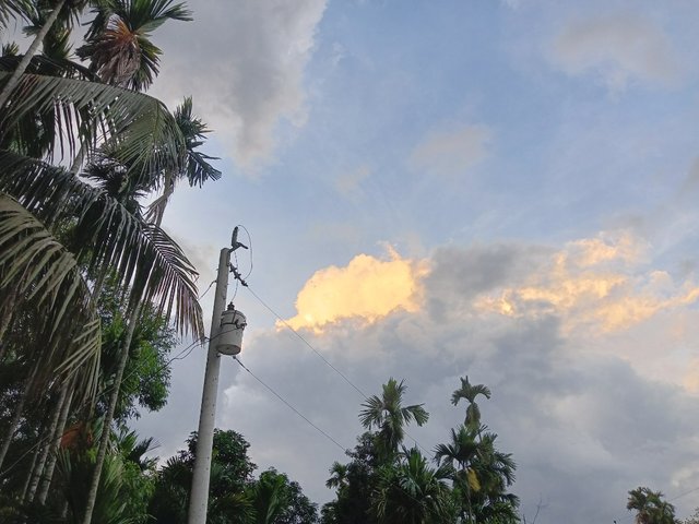 IMG_20250604_224615.jpg