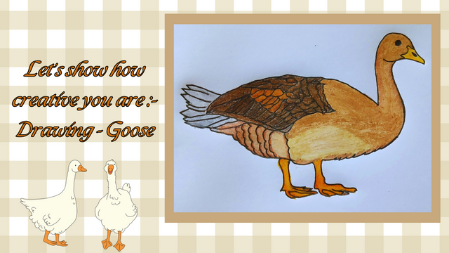 Let's show how creative you are- Drawing - Goose.png