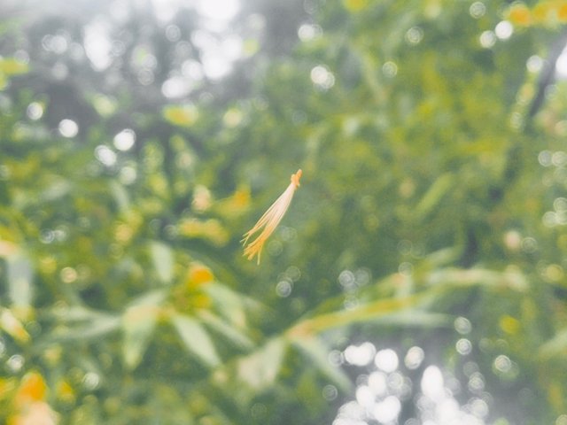 IMG_20250525_195857.jpg