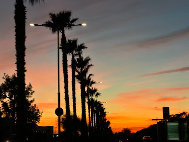 IMG_2554.jpeg