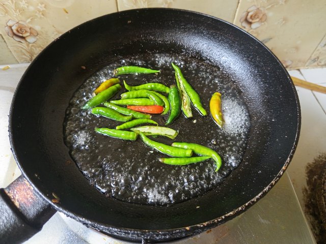 korola (9).jpg