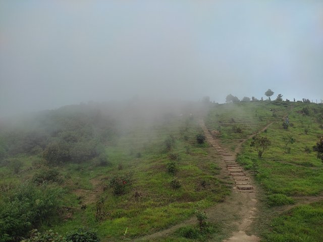 IMG_20250610_101843.jpg