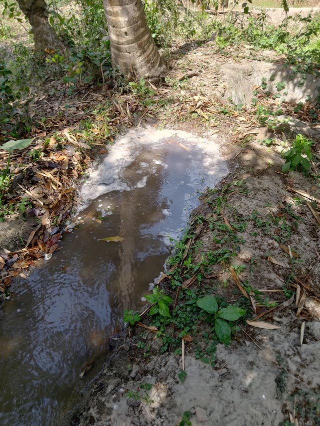 IMG_20250305_110102.jpg