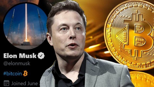 Elon-Musk-Bitcoin-3.jpg