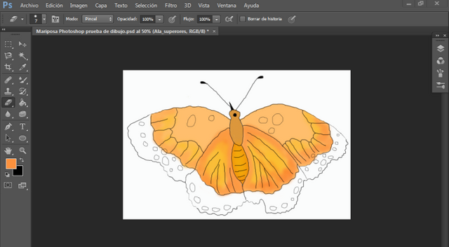 Captura pantalla completa dibujo mariposa coloreo2 photoshop.PNG