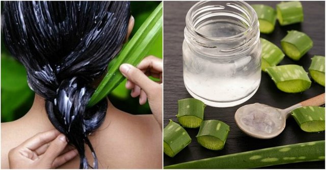 Cómo-tener-un-cabello-más-saludable-utilizando-aloe-vera.jpg