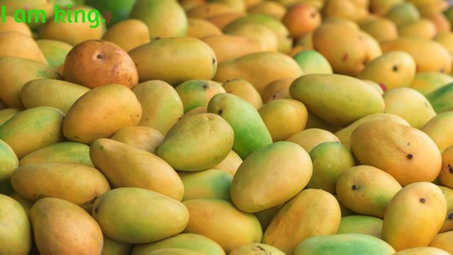 a-pile-of-mangoes (1).jpg