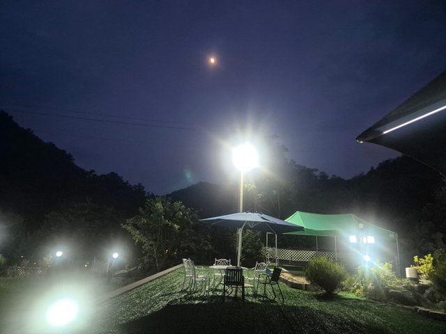1000029285.jpg