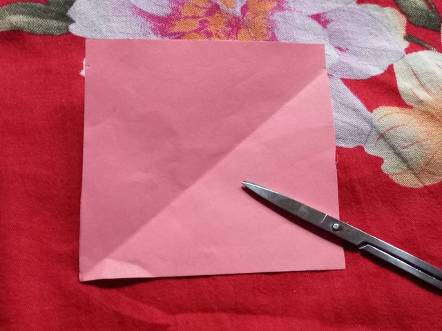 20250901_113016.jpg