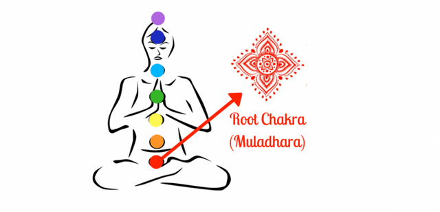 root-chakra-738x355.png