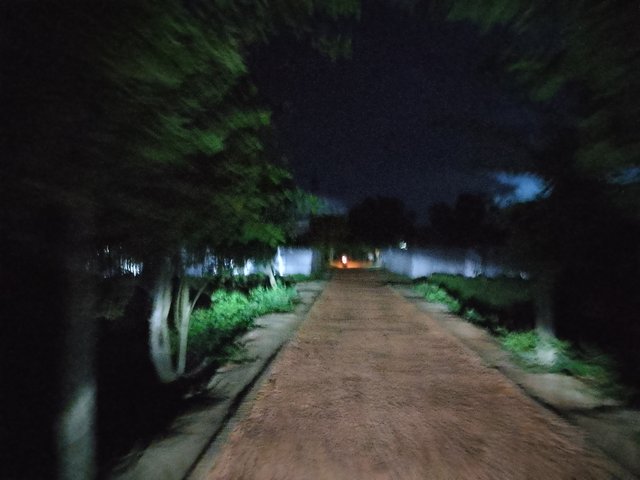 1000041952.jpg