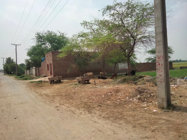 IMG20250806101725.jpg