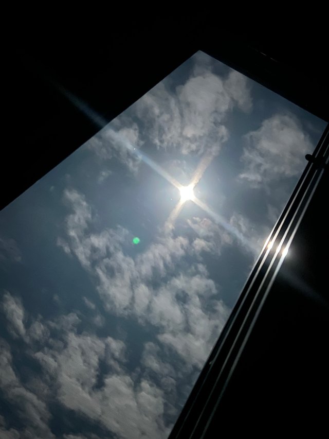 IMG_5686.jpeg