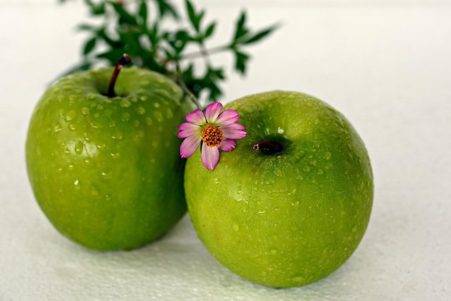 apples-7256016_1280.jpg