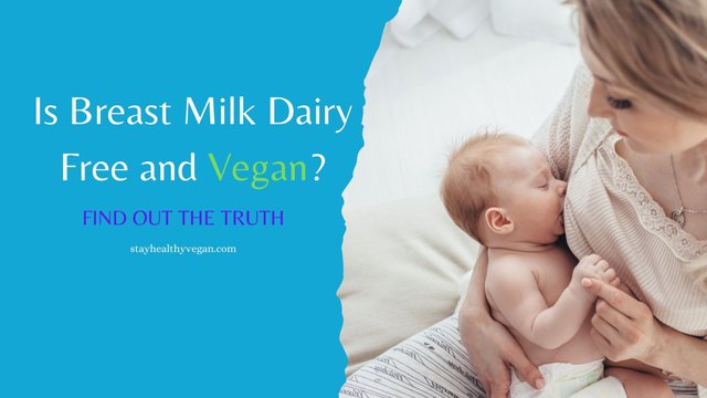 Is Breast Milk Dairy Free and Vegan.jpg