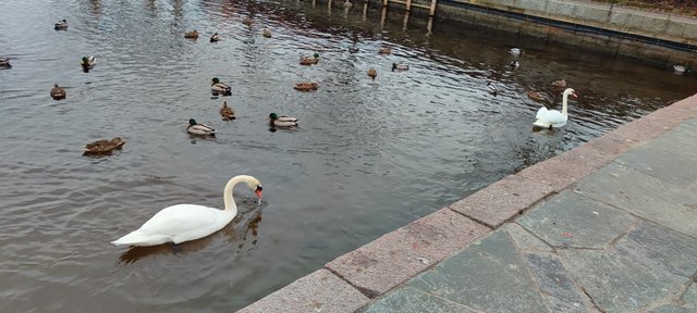 IMG_20250302_172106.jpg