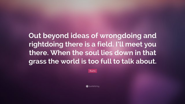 132695-Rumi-Quote-Out-beyond-ideas-of-wrongdoing-and-rightdoing-there-is.jpg