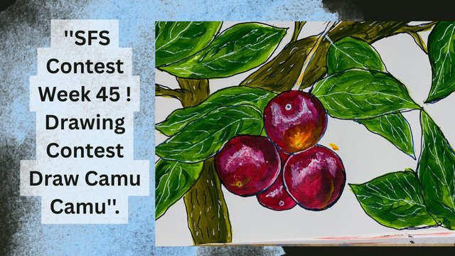 ''SFS Contest Week 45 ! Drawing Contest Draw Camu Camu''. (1).jpg
