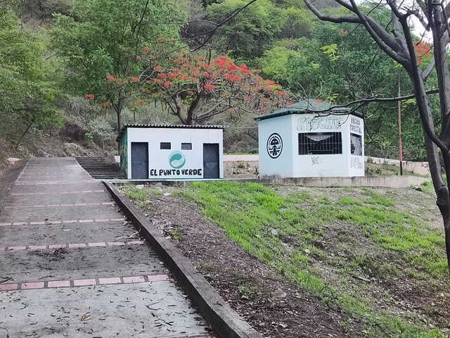 1000307503.jpg