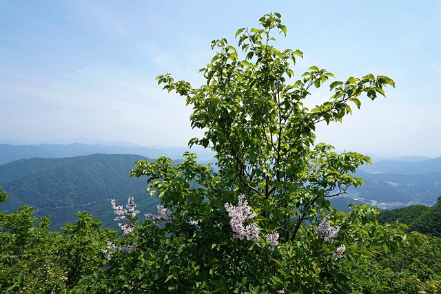 b-DSC04173.JPG