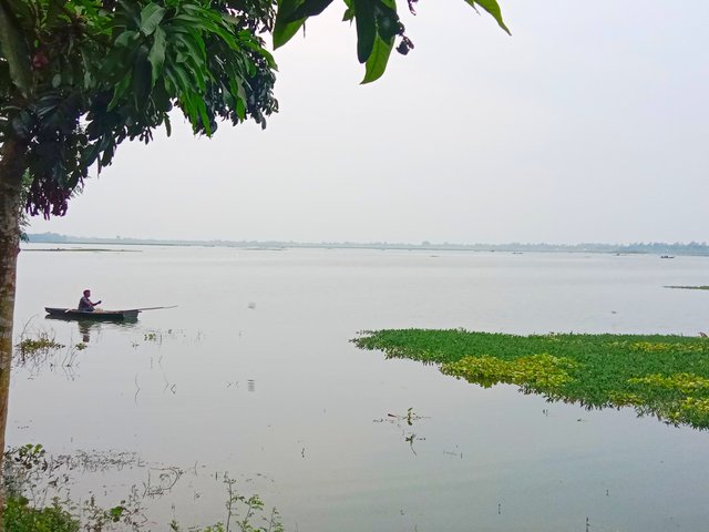 IMG_20251001_084759.jpg
