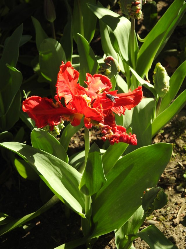 DSCN1491.JPG