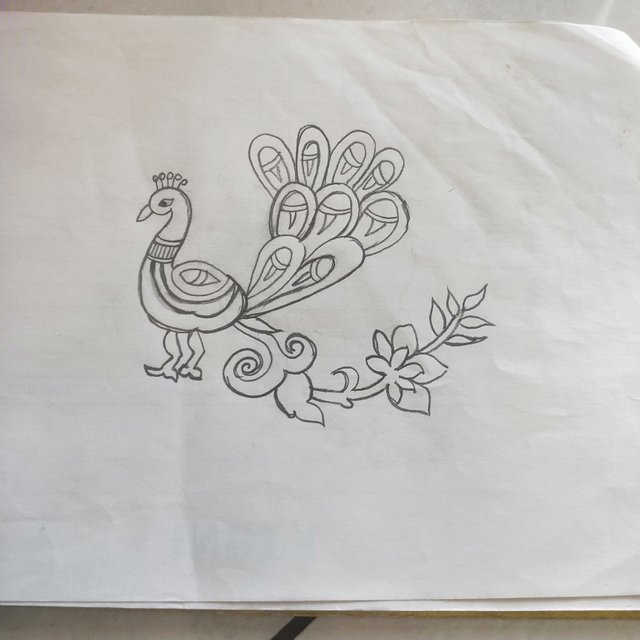 IMG20230412123133.jpg