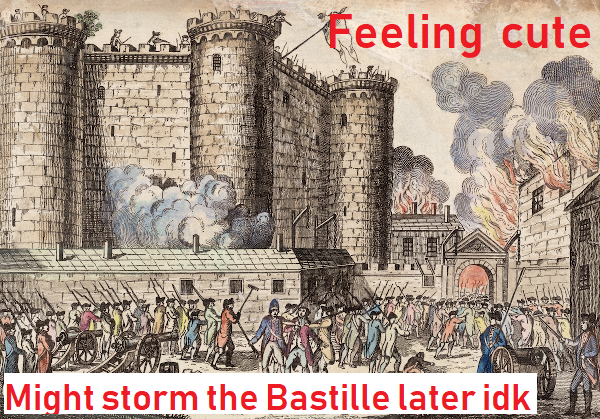 might storm the  bastille.png