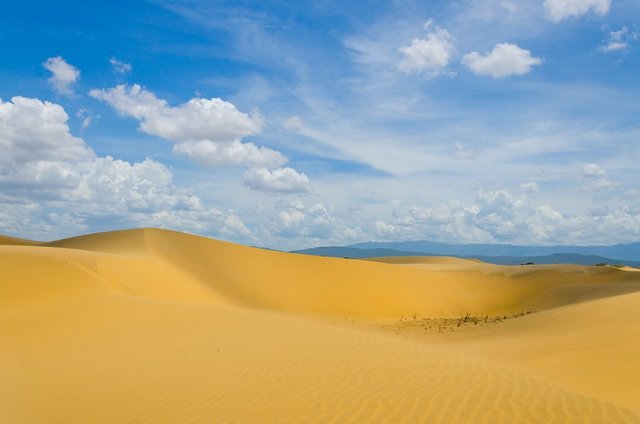 medanos-de-coro-venezuela.jpg