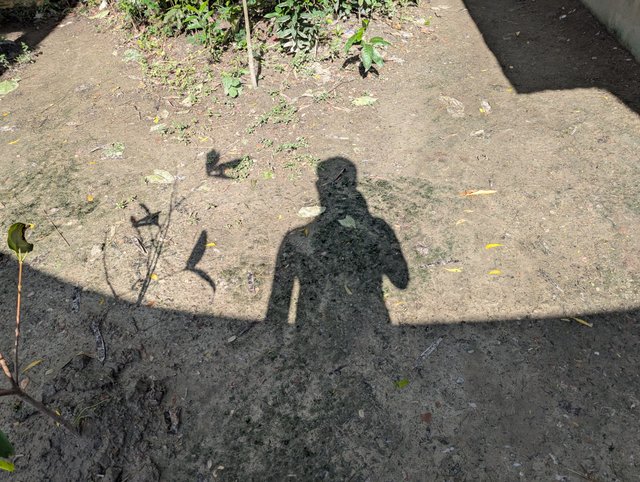 1000057327.jpg