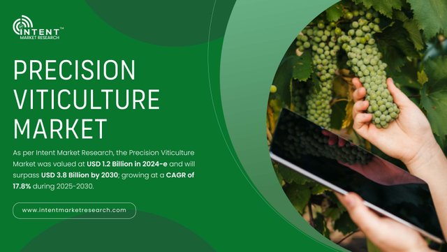 Precision Viticulture Market-01.jpg