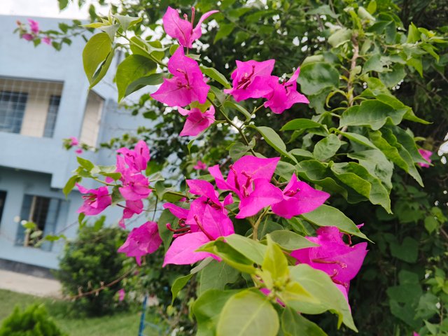 IMG_20250727_131224_464.jpg