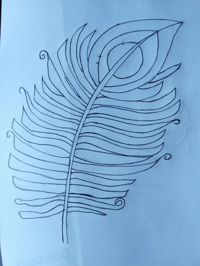 20211122_164119629.jpg