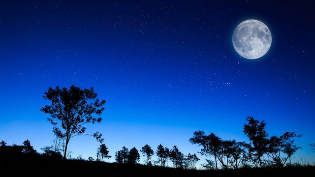 Sky-night-sky-blue-moon-trees-image-1920x1080.jpg