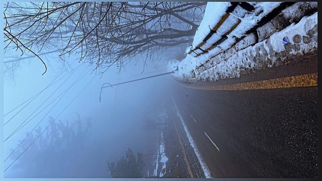 cold silence nature .jpg