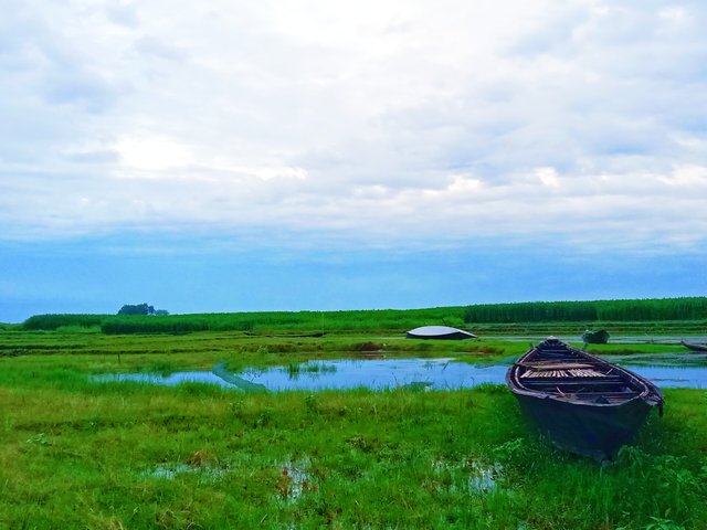 IMG_20250619_200212.jpg