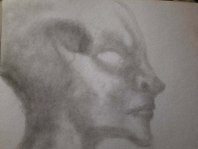 20250417_105056.jpg