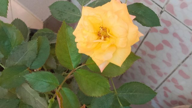 IMG_20250918_164641_650.jpg