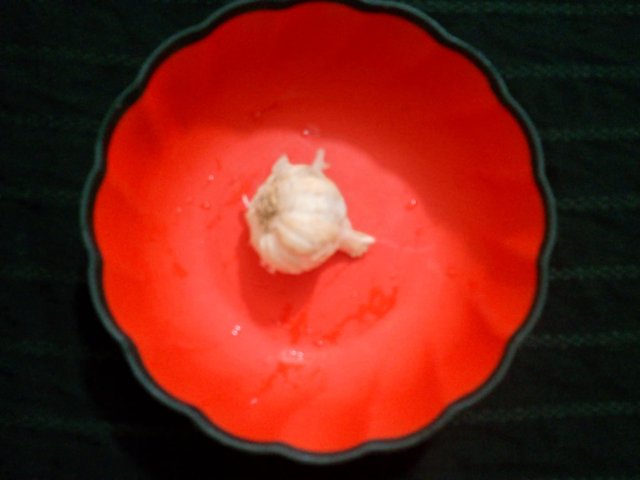 Messenger_creation_DED42826-B8D7-49CC-9593-896E974FE03F.jpeg