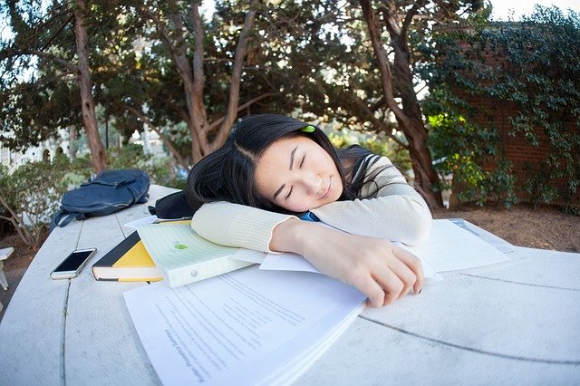 studynap.jpg