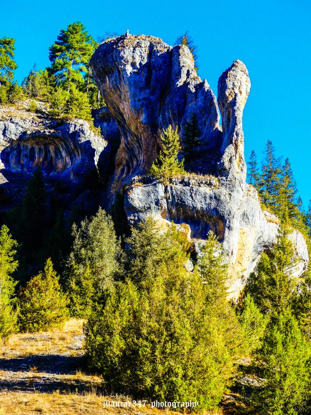 P1180364_edited.jpg