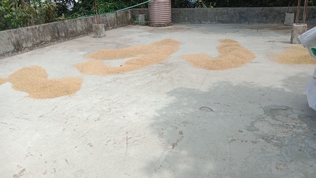 IMG_20250430_113650_163.jpg